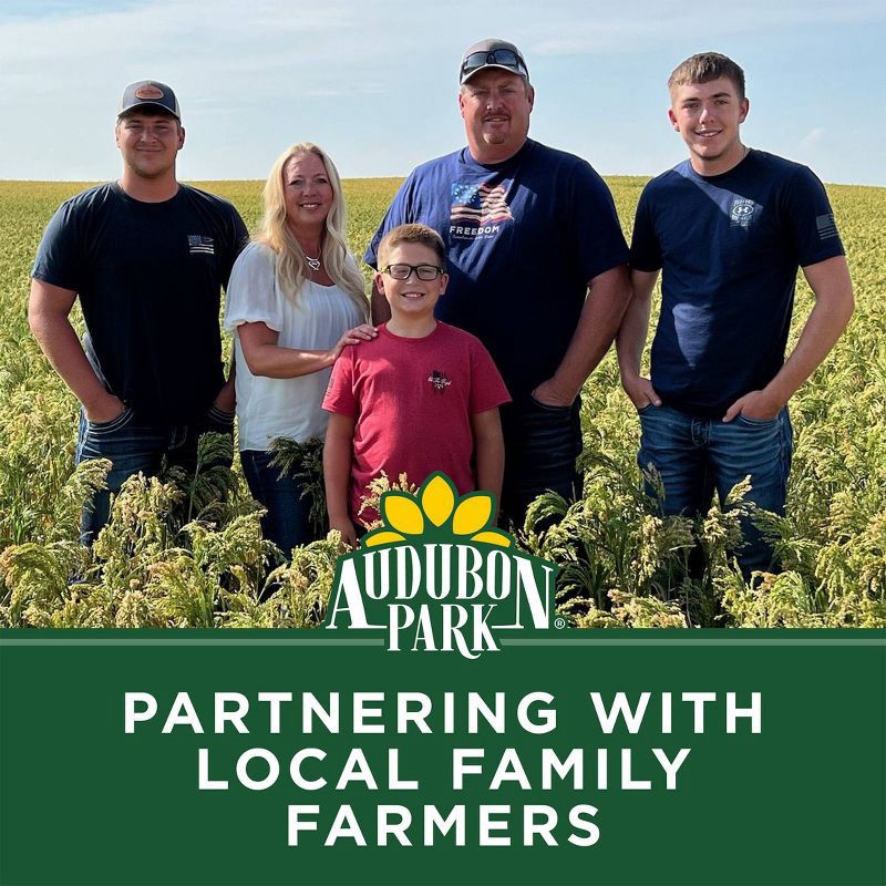 slide 6 of 8, Audubon Park 9.5oz Woodpecker Wild Bird Suet, 9.5 oz