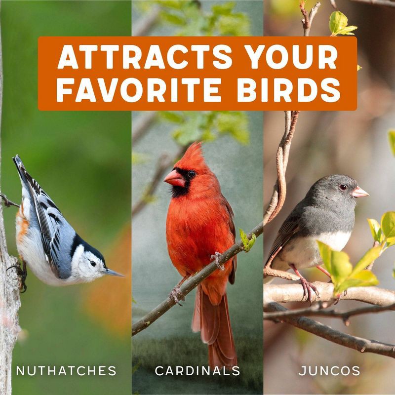 slide 7 of 9, Melody Select 4.5lbs Hot Pepper Blend Bird Food, 4.5 lb