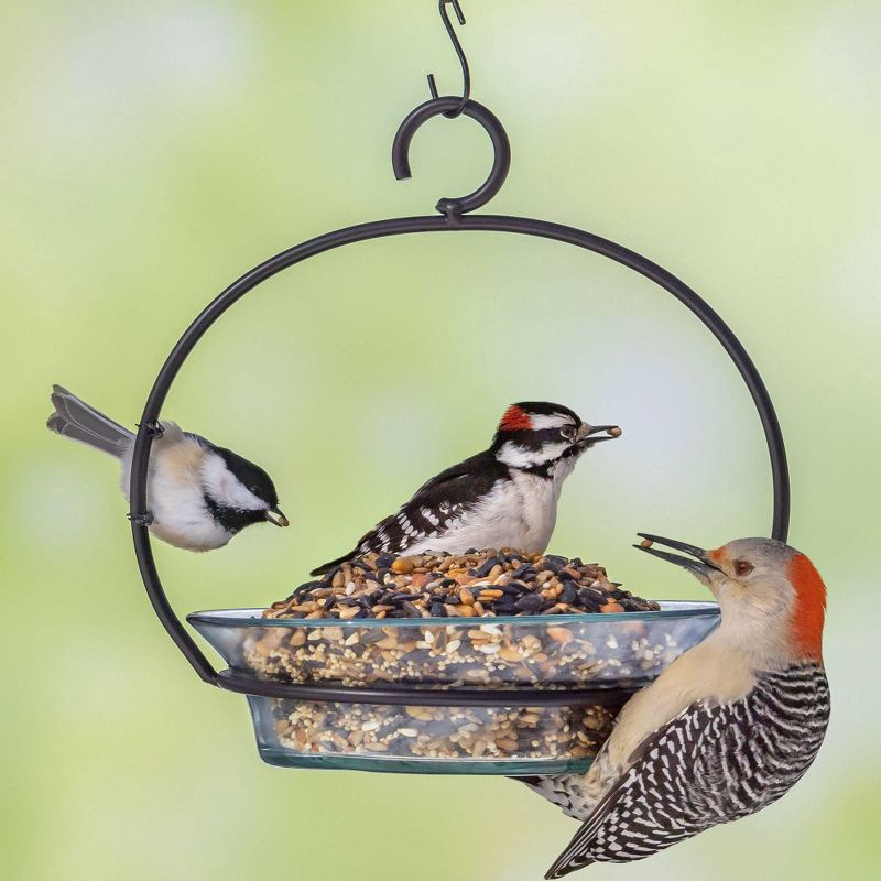 slide 8 of 9, Melody Select 4.5lbs Hot Pepper Blend Bird Food, 4.5 lb