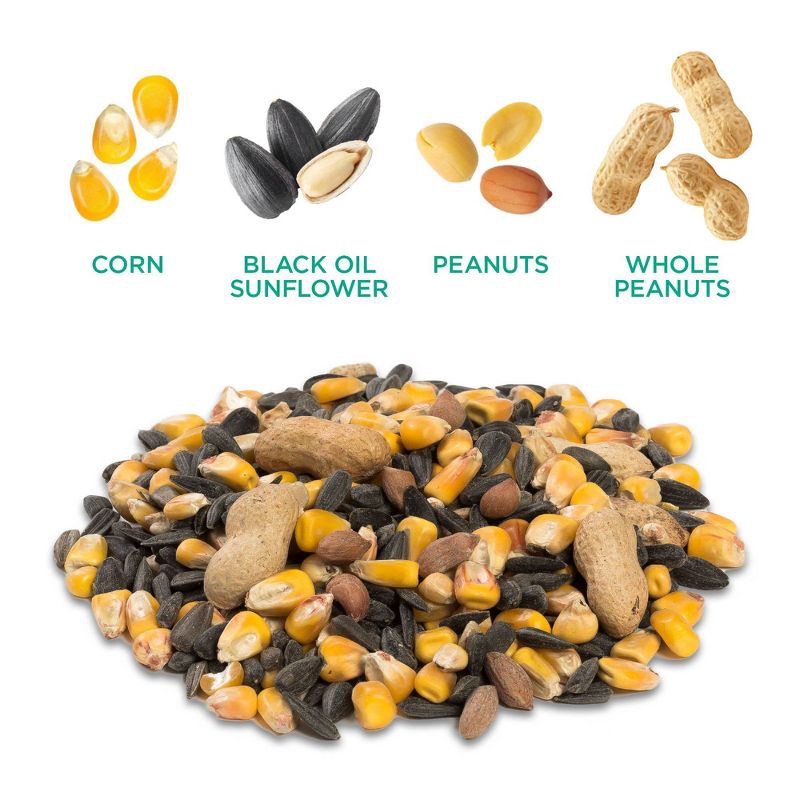 slide 4 of 10, Audubon Park 5lbs Critter Crunch Wild Bird Food, 5 lb