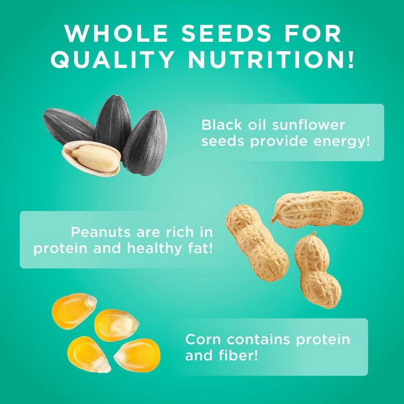 slide 6 of 10, Audubon Park 5lbs Critter Crunch Wild Bird Food, 5 lb