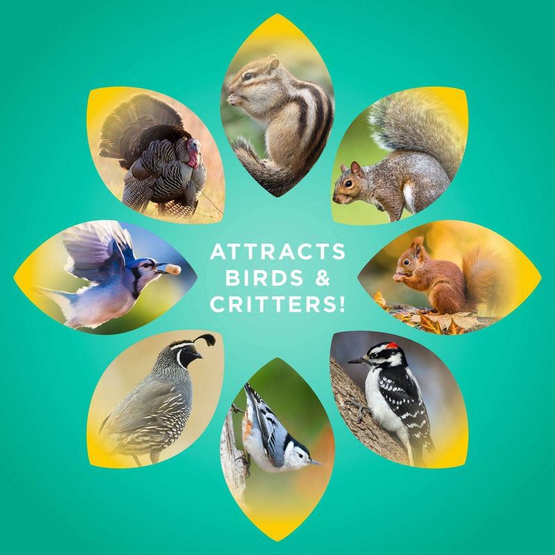 slide 7 of 10, Audubon Park 5lbs Critter Crunch Wild Bird Food, 5 lb