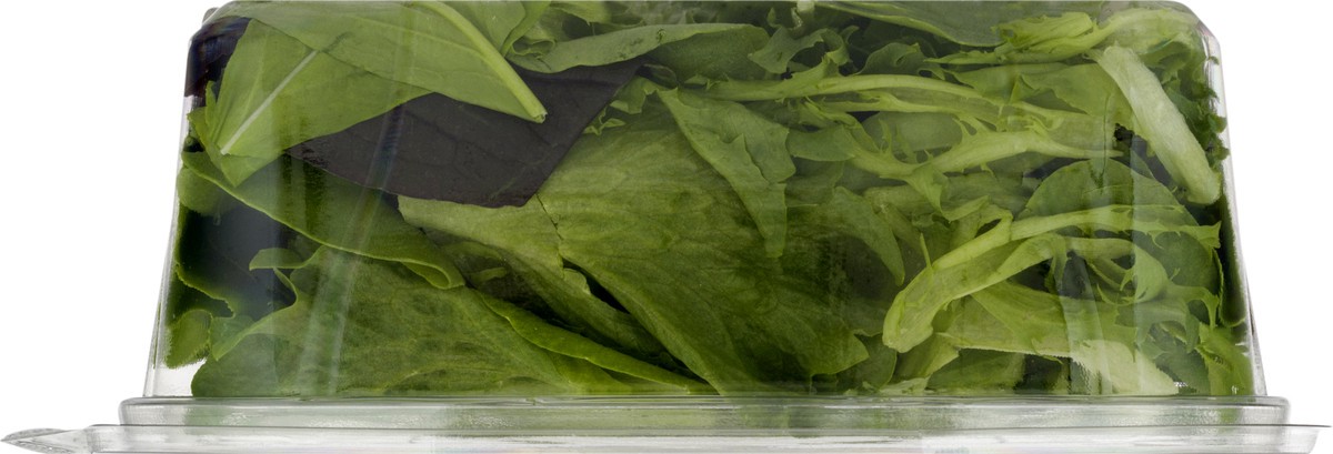 slide 2 of 12, BrightFarms Mixed Greens 4 oz, 4 oz