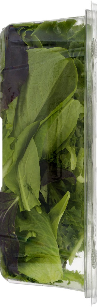 slide 9 of 12, BrightFarms Mixed Greens 4 oz, 4 oz