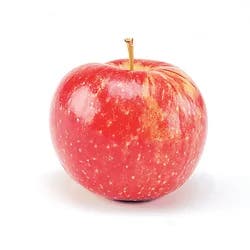 Jonagold Apples