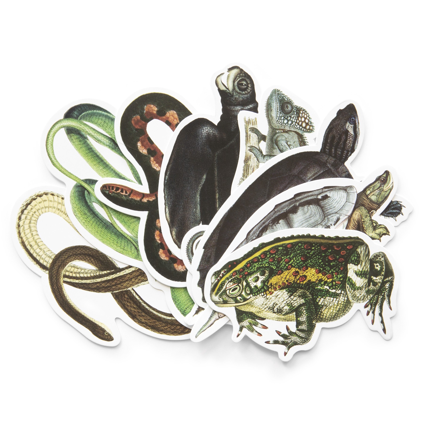 slide 3 of 5, Reptiles Die Cut Stickers By Recollections, 4 in x 5.98 in