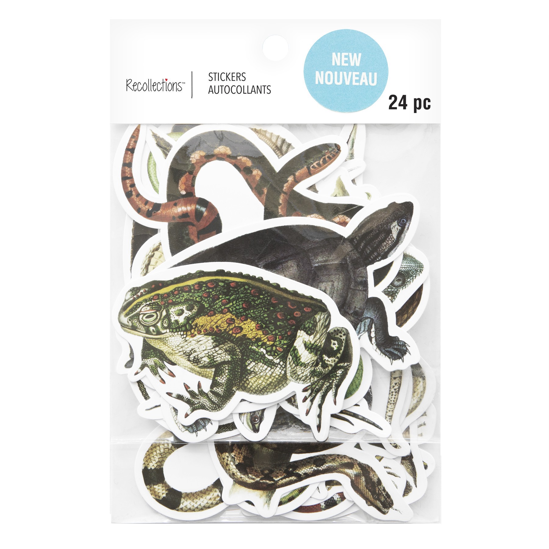 slide 2 of 5, Reptiles Die Cut Stickers By Recollections, 4 in x 5.98 in