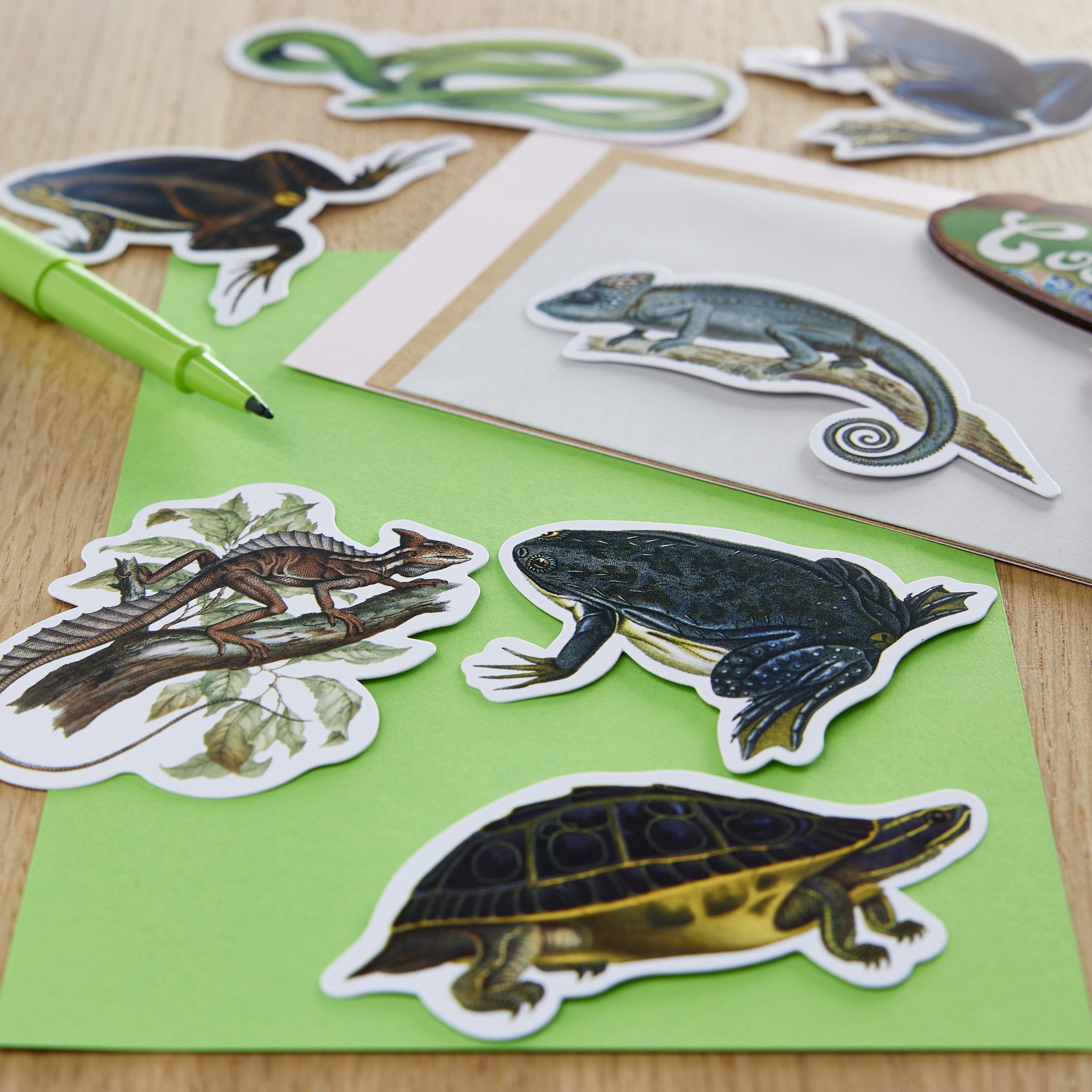 slide 4 of 5, Reptiles Die Cut Stickers By Recollections, 4 in x 5.98 in
