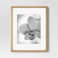 11"x14" Matted to 8"x10" Traditional Value Picture Frame Gold - Room Essentials™