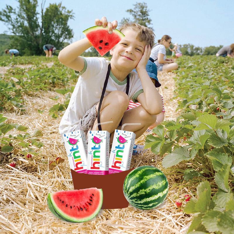 slide 3 of 5, hint Kids' Variety Pack Flavored Water (Watermelon, Grape, Apple, Cherry) - 32pk/6.75 fl oz Boxes, 32 ct, 6.75 fl oz