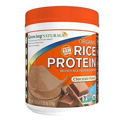 slide 1 of 1, Growing Naturals Chocolate Power Organic Rice Protein Powder, 16.4 oz