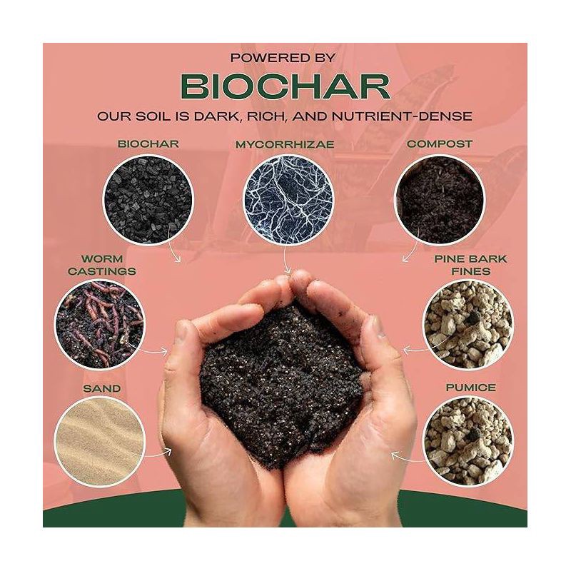 slide 2 of 9, Rosy Soil 4qt Cactus & Succulent Mix Potting Soil: Organic Blend for Indoor Plants, Moisture Control, Peat-Free, 4 qt