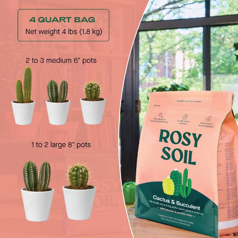 slide 8 of 9, Rosy Soil 4qt Cactus & Succulent Mix Potting Soil: Organic Blend for Indoor Plants, Moisture Control, Peat-Free, 4 qt