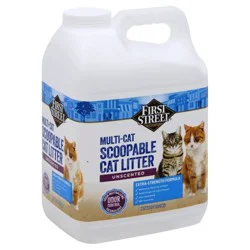 First Street Unscented Scoopable Cat Litter