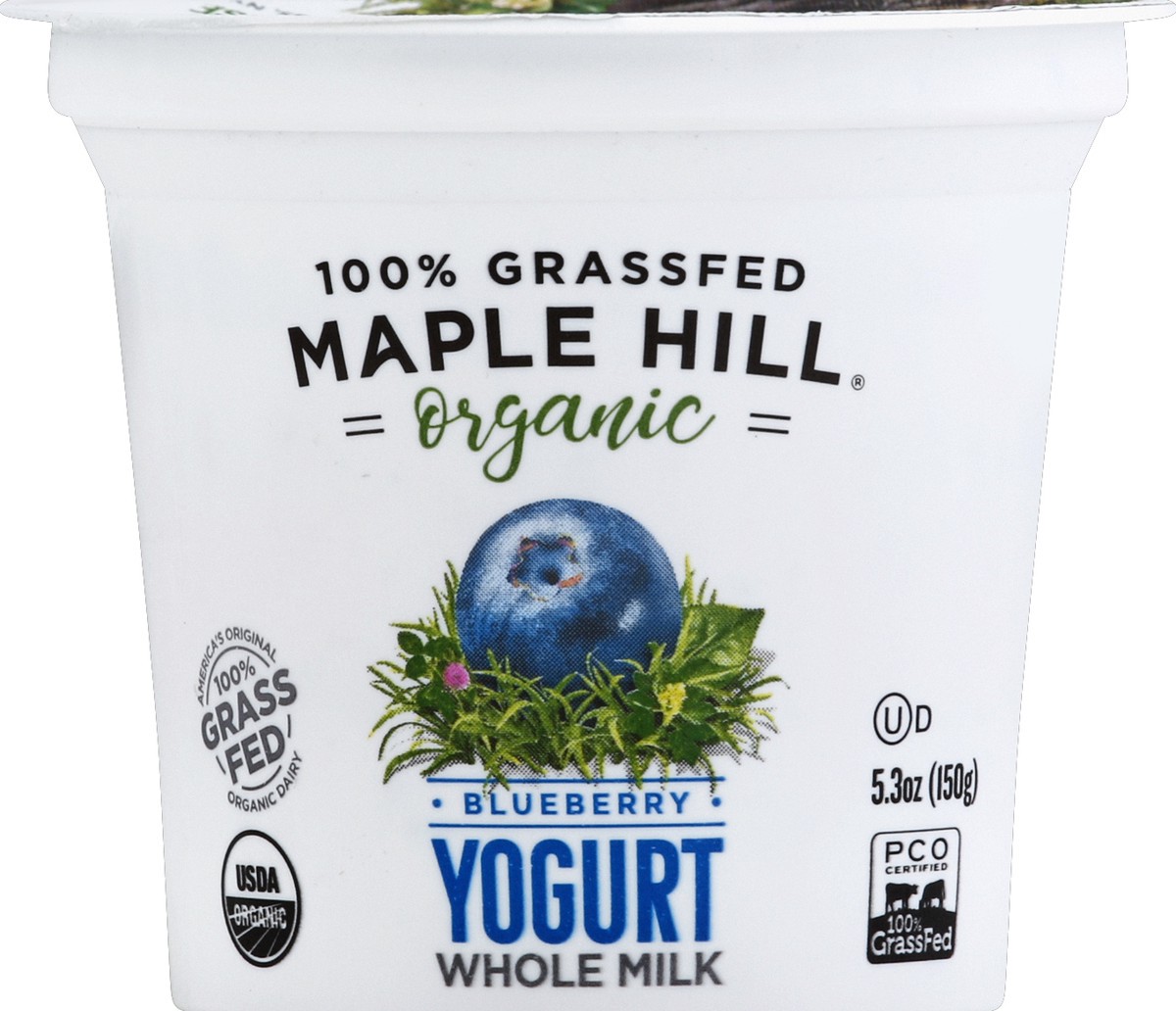 slide 3 of 3, Maple Hill Creamery Maple Hill 100% Grassfed Organic Blueberry Yogurt, 5.3 oz