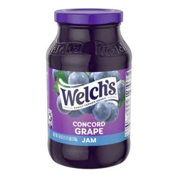 Welch's Concord Grape Jam - 18oz