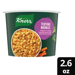 Knorr Teriyaki Noodles Pasta Cup 2.6oz