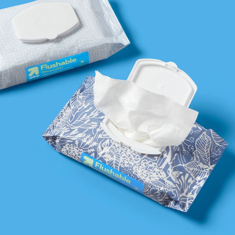 slide 2 of 4, Flushable Cleansing Wipes - Fresh Scent - 2pk/60ct - up&up™, 2 ct, 60 ct