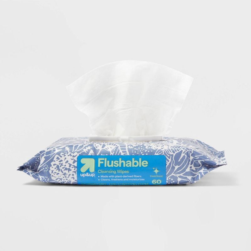slide 3 of 4, Flushable Cleansing Wipes - Fresh Scent - 2pk/60ct - up&up™, 2 ct, 60 ct