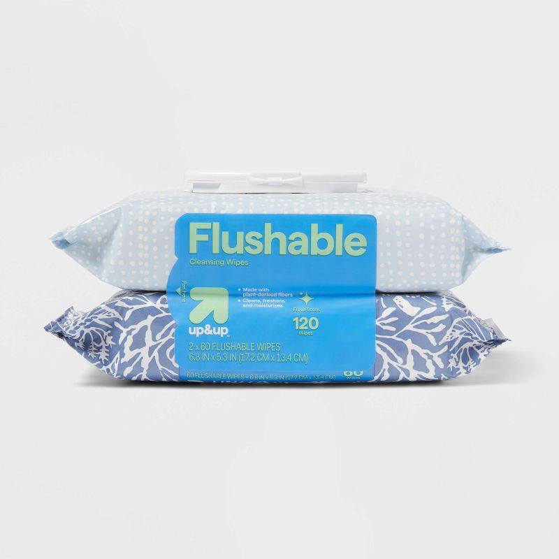 slide 4 of 4, Flushable Cleansing Wipes - Fresh Scent - 2pk/60ct - up&up™, 2 ct, 60 ct