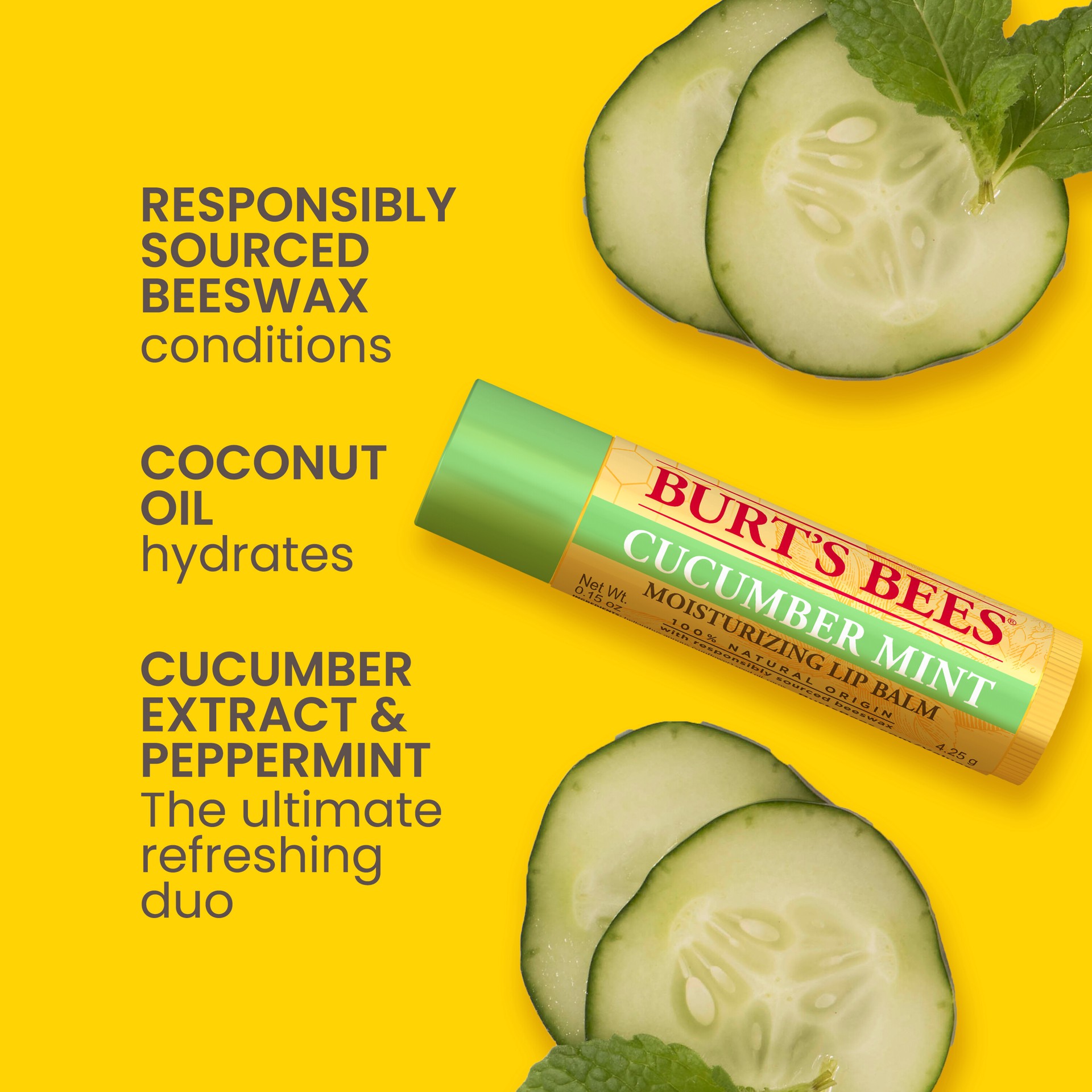 slide 2 of 5, Burt's Bees 100% Natural Origin Moisturizing Lip Balm, Cucumber Mint with Beeswax, 1 Tube, 1 ct