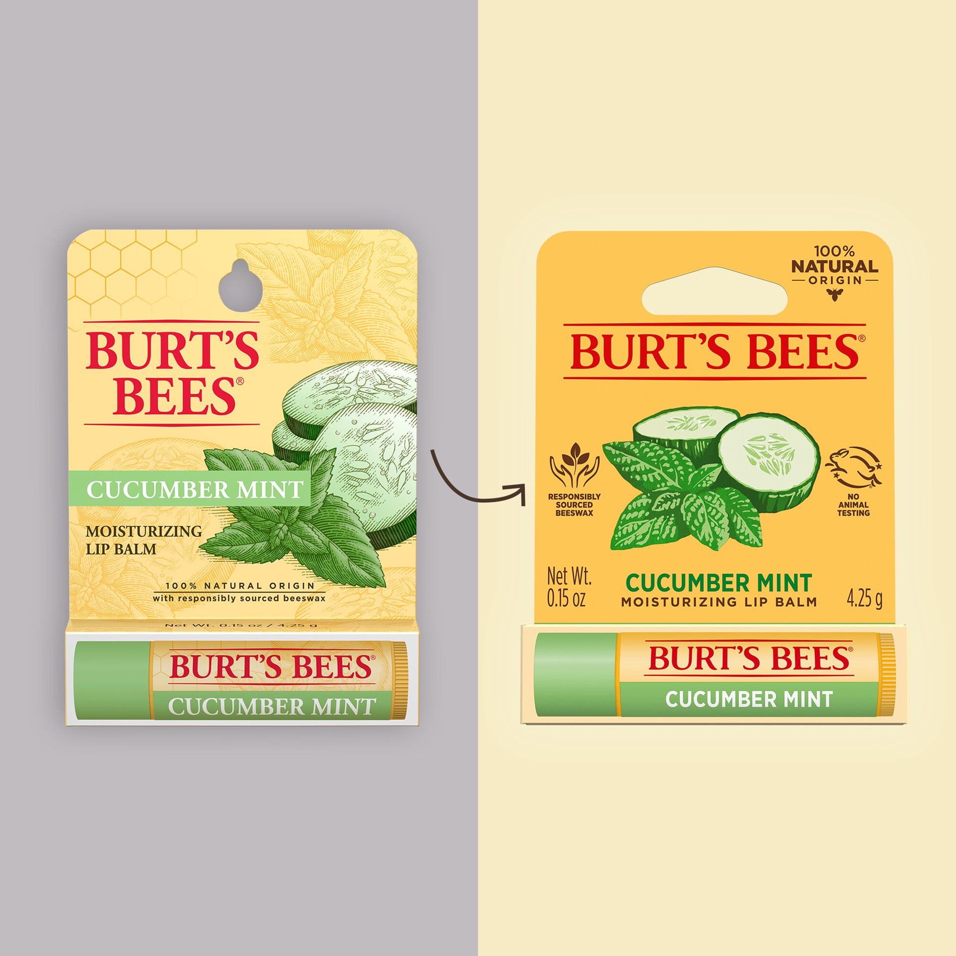 slide 3 of 5, Burt's Bees 100% Natural Origin Moisturizing Lip Balm, Cucumber Mint with Beeswax, 1 Tube, 1 ct