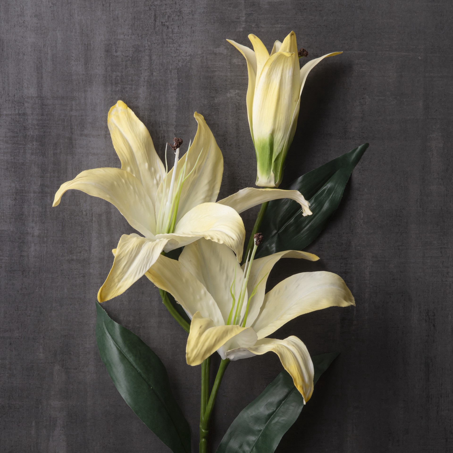 slide 4 of 4, Casablanca Lily Stem By Ashland, 43 in