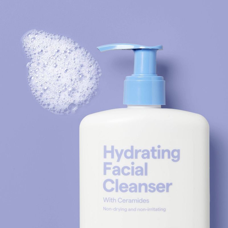 slide 2 of 3, Hydrating Facial Cleanser with Ceramides - Normal to Dry Skin/Sensitive - 12fl oz - up&up™, 12 fl oz