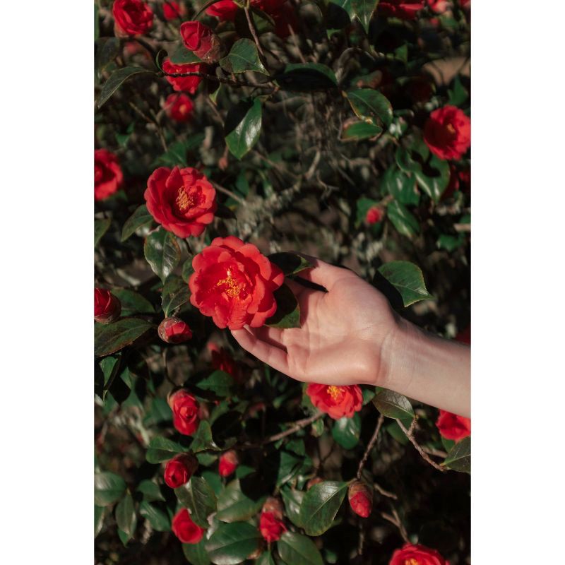 slide 3 of 6, Polaroid Hi-Print Paper Gen 2: Android & iOS Compatible, Bluetooth, USB-C Connection, 1 ct