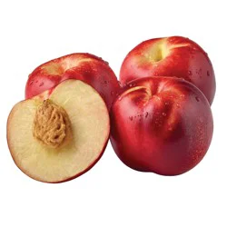 Fresh White Nectarine