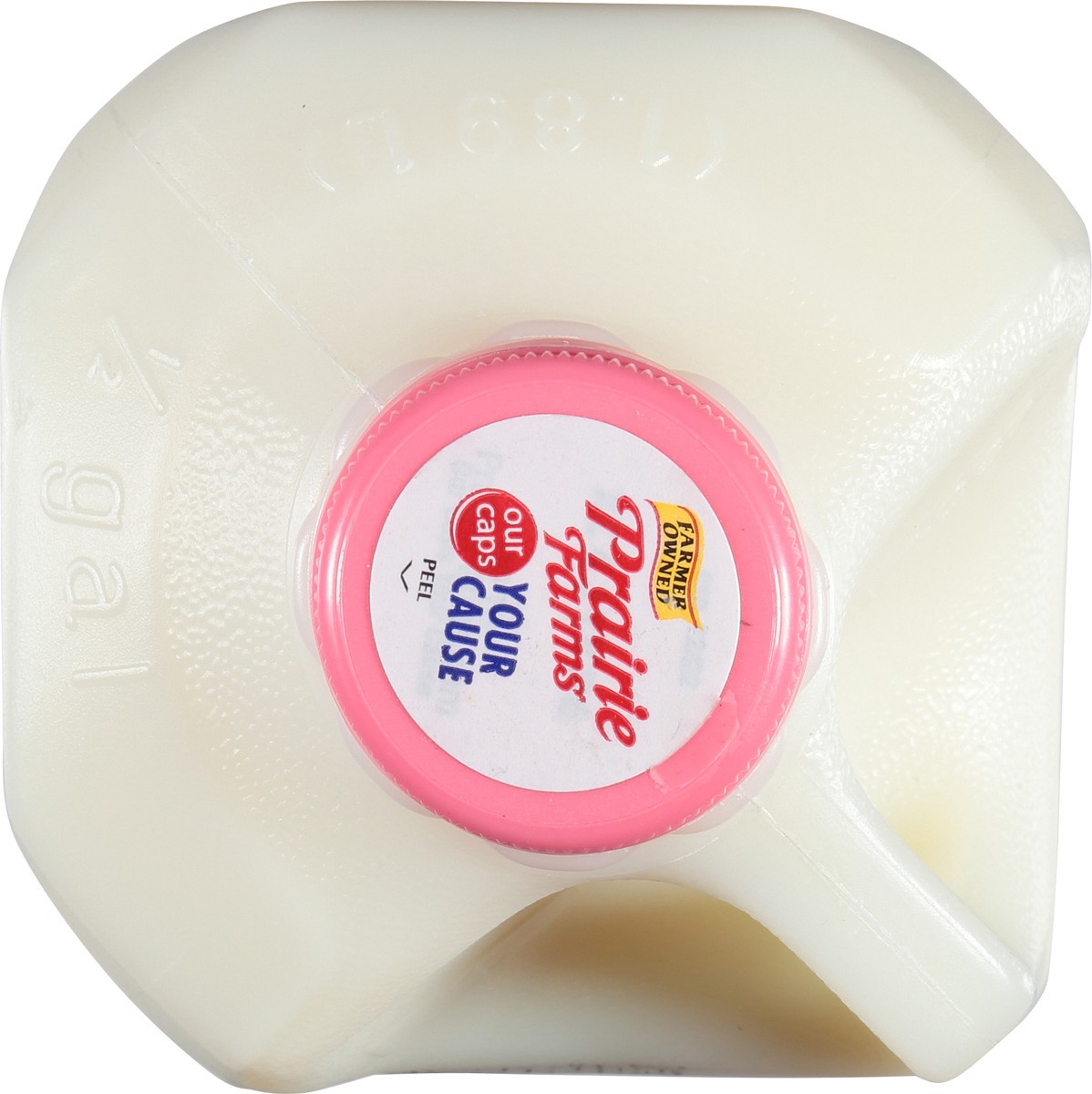 slide 12 of 12, Prairie Farms Fat Free Milk 0.5 gl Jug, 1/2 gal