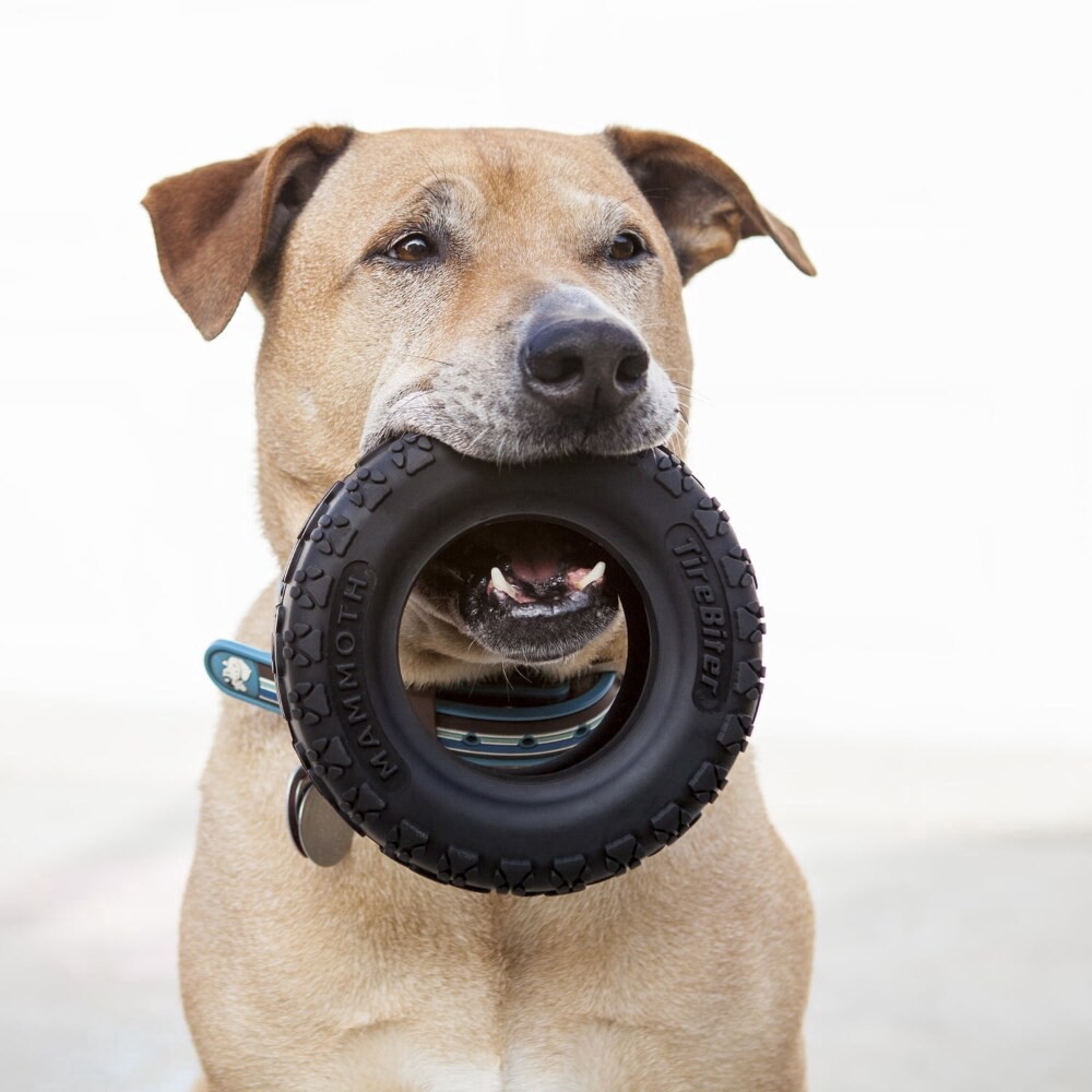 slide 4 of 4, Mammoth Tirebiter 6In Dog, 1 ct