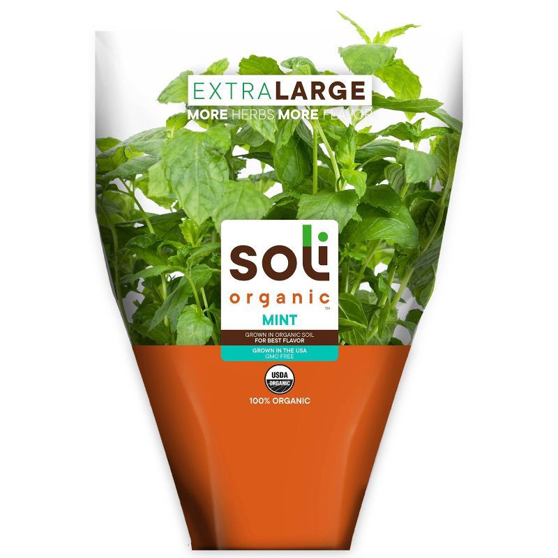 slide 1 of 6, Soli Organic Living Mint Herb Plant, 1 ct