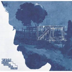 Universal Music Group ZAYN - Room Under The Stairs (CD)