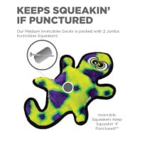 slide 10 of 17, Outward Hound Invincibles 2 Squeak Yellow/Green Gecko, 1 ct
