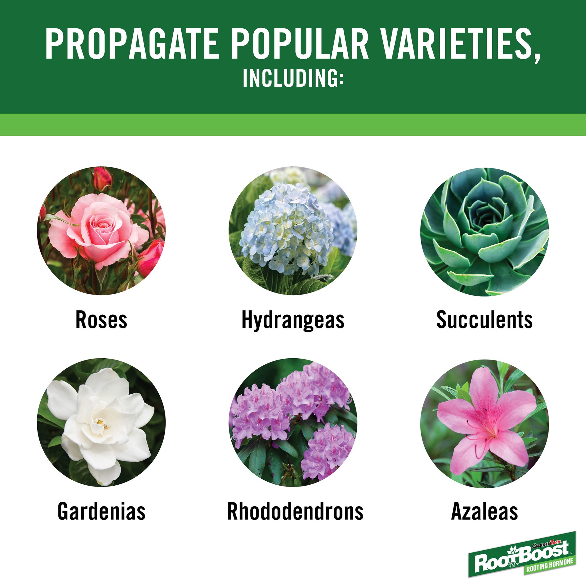 slide 3 of 7, Garden Tech RootBoost Rooting Hormone 2 Ounces, 1 ct