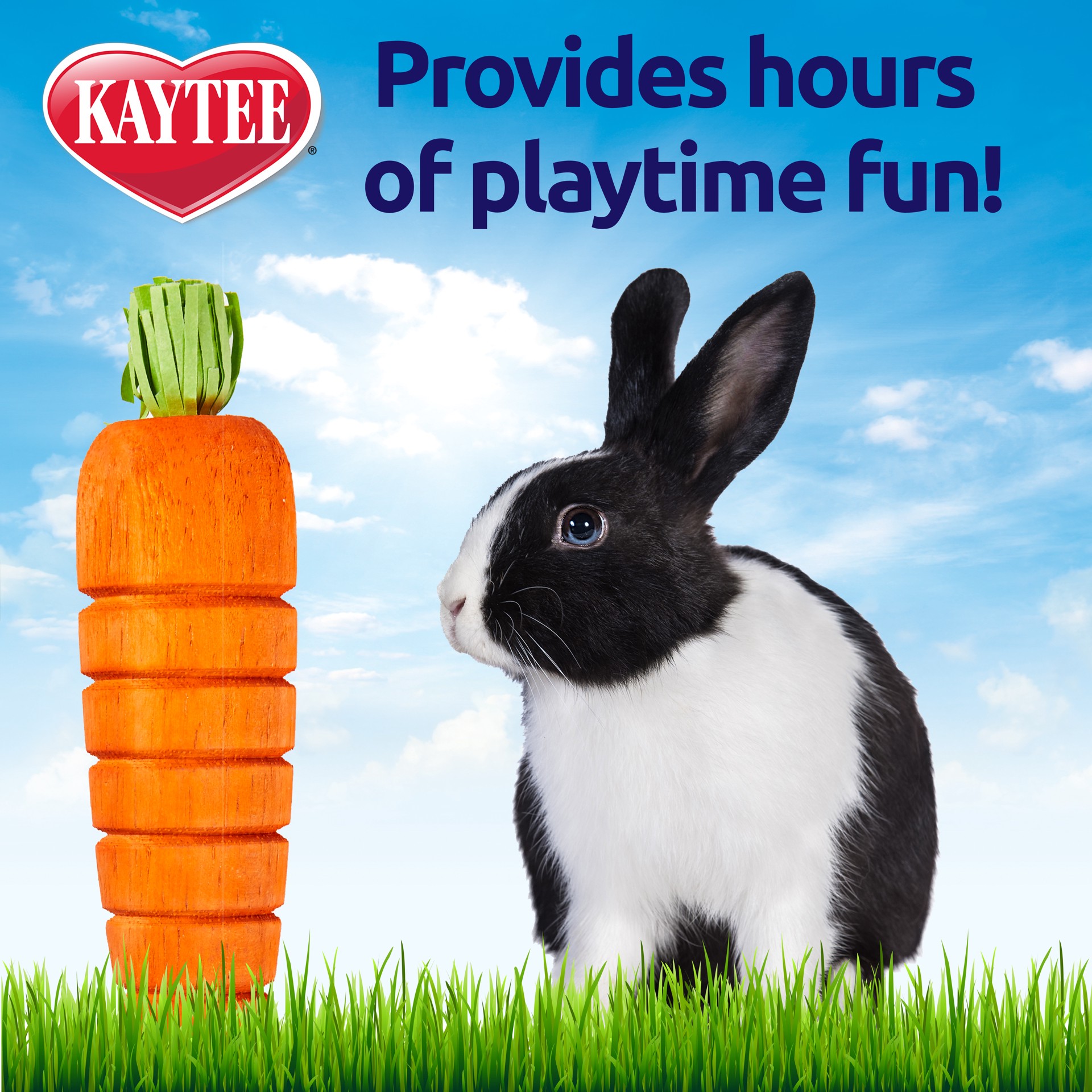 slide 4 of 5, Kaytee Hard Goods Kaytee Bunny Flip-N-Toss Toy Carrot, 1 ct