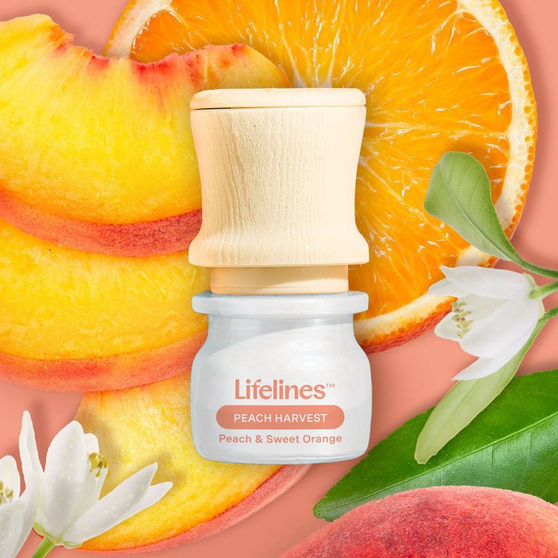 slide 4 of 10, Lifelines Be Transported Discovery Set, 1 ct