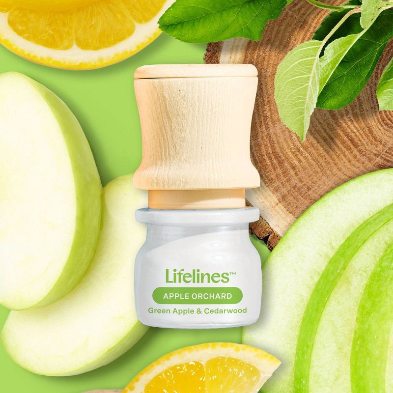 slide 5 of 10, Lifelines Be Transported Discovery Set, 1 ct