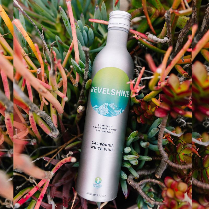 slide 2 of 4, Revelshine Wines White - 500ml Can, 500 ml