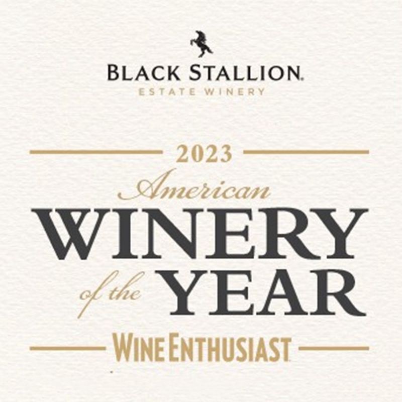 slide 4 of 6, Black Stallion North Coast Cabernet Sauvignon - 750ml Bottle, 750 ml