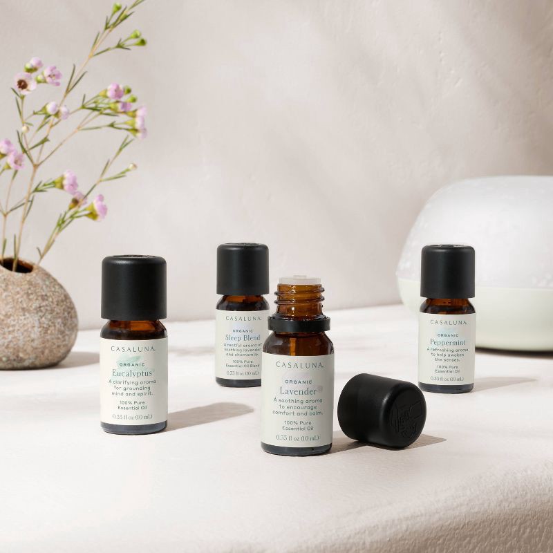 slide 2 of 4, Organic Eucalyptus Essential Oil - Casaluna™, 1 ct