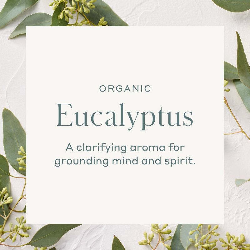 slide 4 of 4, Organic Eucalyptus Essential Oil - Casaluna™, 1 ct