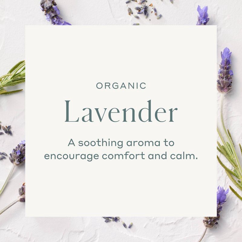 slide 4 of 4, Organic Essential Oil Lavender - Casaluna™, 1 ct