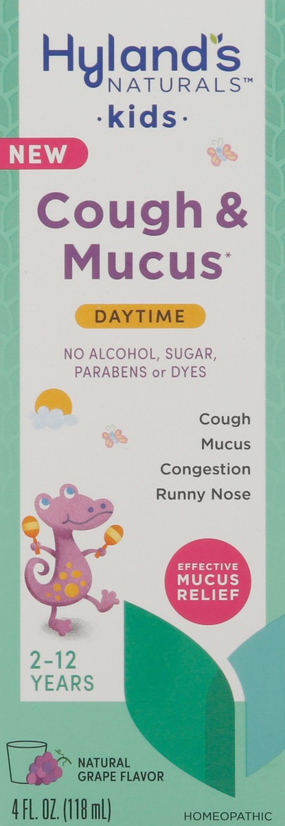 slide 6 of 9, Hyland's Naturals Kids Daytime Natural Grape Flavor Cough & Mucus 4 fl oz, 4 oz