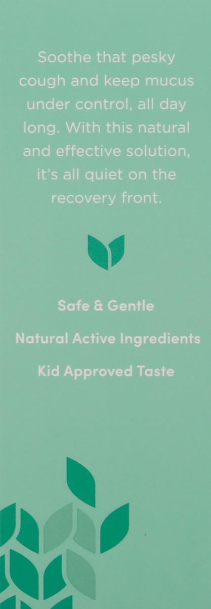 slide 7 of 9, Hyland's Naturals Kids Daytime Natural Grape Flavor Cough & Mucus 4 fl oz, 4 oz