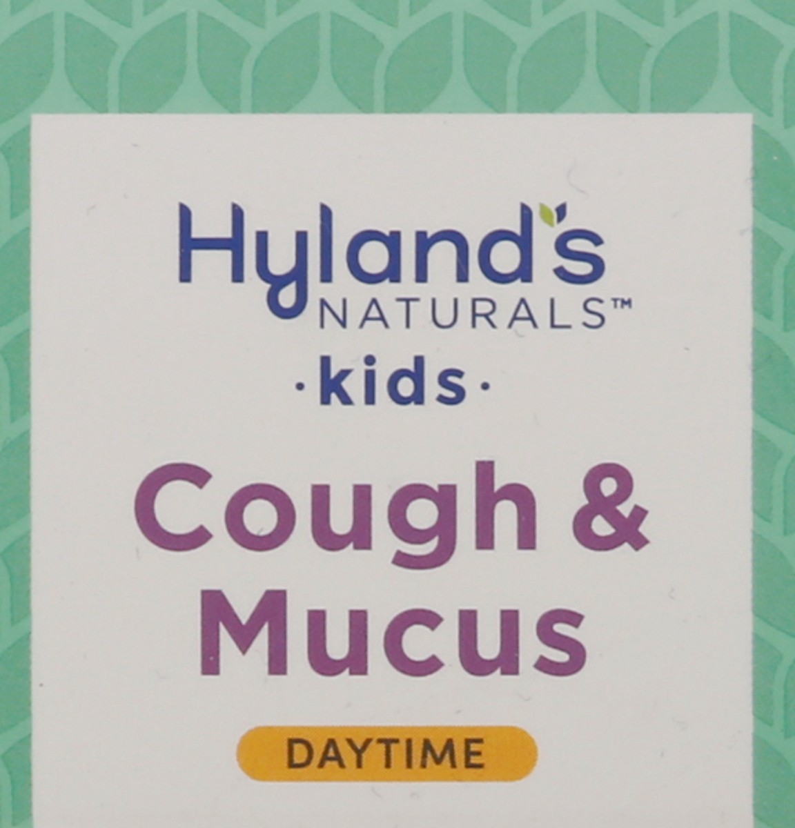 slide 2 of 9, Hyland's Naturals Kids Daytime Natural Grape Flavor Cough & Mucus 4 fl oz, 4 oz