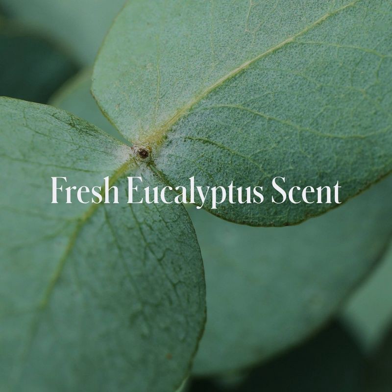 slide 5 of 10, Geologie Clear System Acne Control Body Wash - 8.4 fl oz, 8.4 fl oz