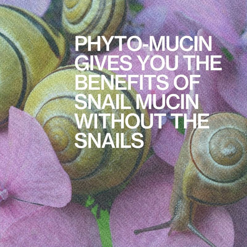 slide 4 of 10, Pacifica Barrier Care Gel - Hydrodew Slime - 1.7 fl oz, 1.7 fl oz