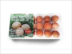 Bogopa Cage Free Large Brown Eggs 1 Dozen